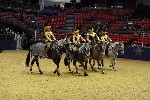 Quadrille - 00861